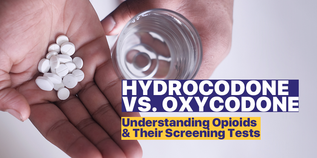 hydrocodone and oxycodone